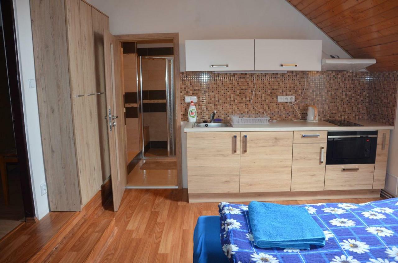 U Konicka Guest house